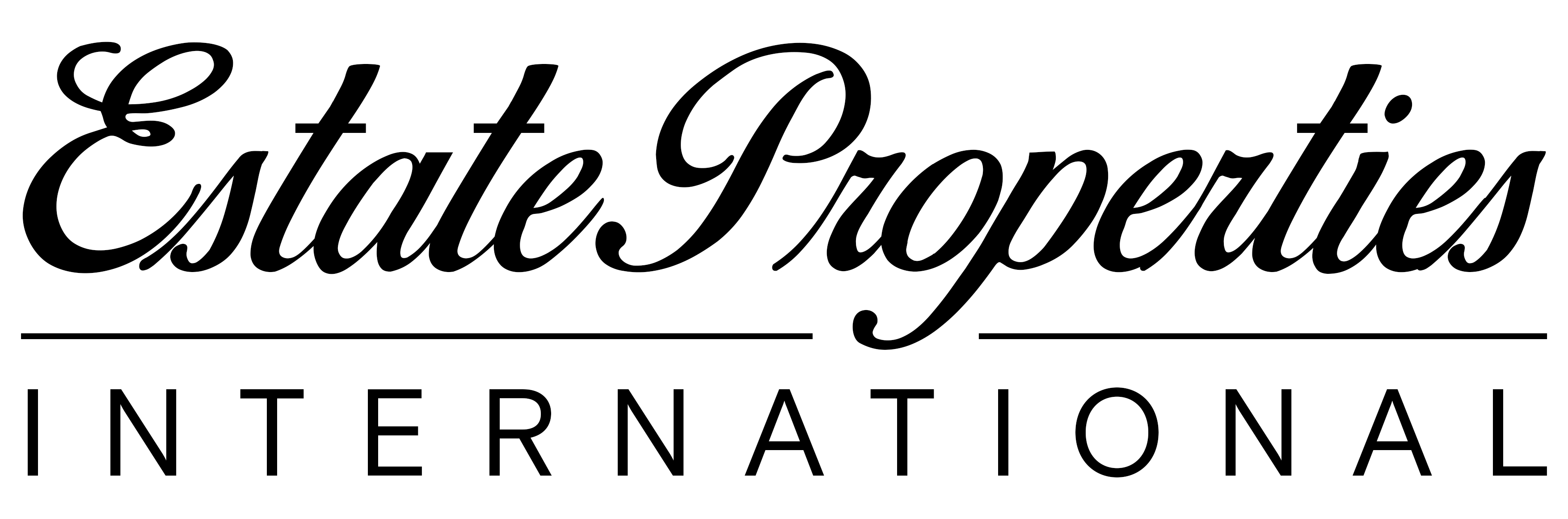 Estate Properties International logo with black text on white background